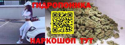стафф Пугачёв