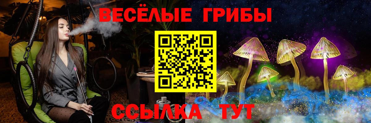 Орск  Галлюциногенные грибы Psilocybe  Вход с VPN 