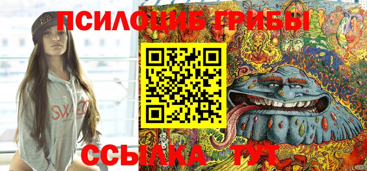 Псилоцибиновые грибы мицелий Орск